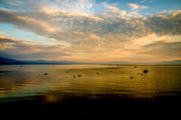 DSC_3508.JPG